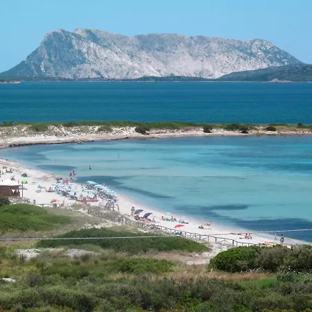 Appartamento Locazione Turistica Le Canne - Teo110 San Teodoro (Sardinia)