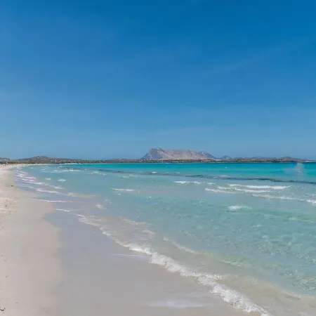 Appartamento Locazione Turistica Le Canne - Teo110 *